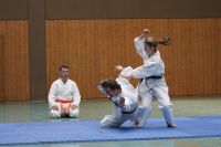 Bilder_2008 (5)